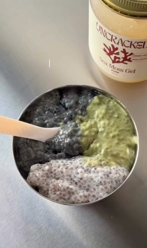 Sea moss gel chia pudding